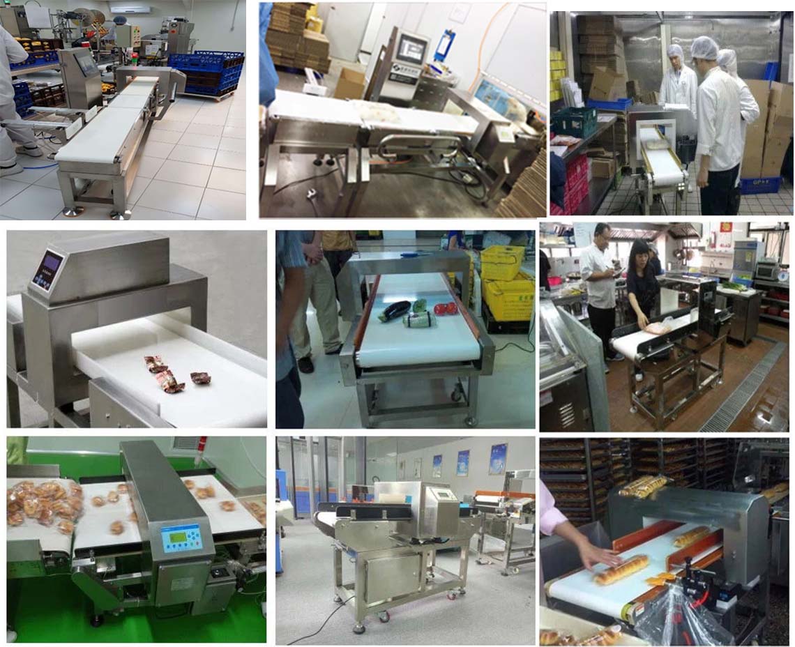 metal detector conveyors for food