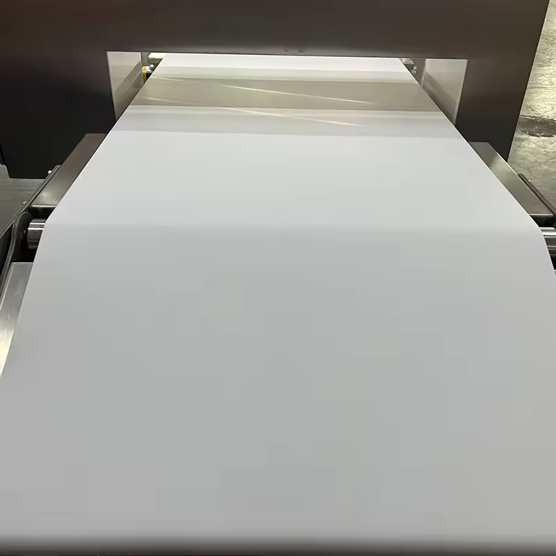 Conveyor Metal Detector